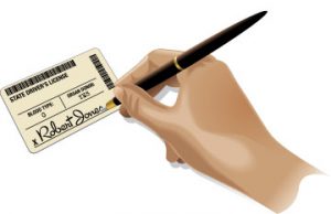 Driver's License