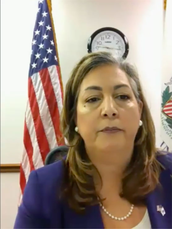 Illinois Department of Veterans Affairs Director Linda Chapa LaVia announced her resignation following a contentious hearing of the House Civil Judiciary Committee on Monday. (Credit: blueroomstream.com)