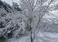 photo by M. Kloppenburg