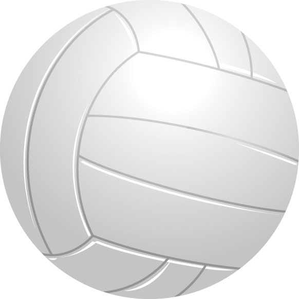 Area Volleyball Results