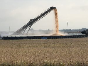 Grain Storage