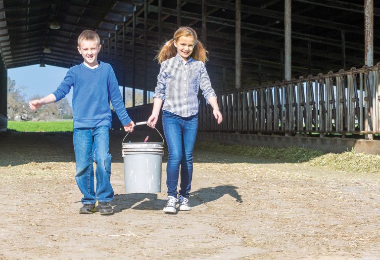 4-H Week