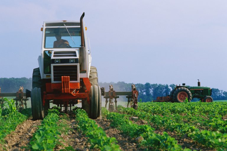Farmer