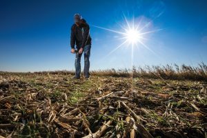 Matt Boucher uses a soil compaction tester in the fields where he planted cover crops. 	Photo by Jeff Adkins, Farm Flavor Media