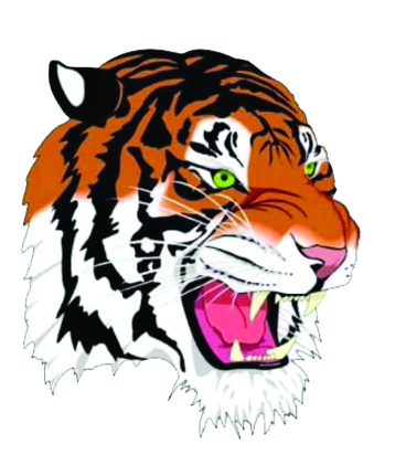 Tigers