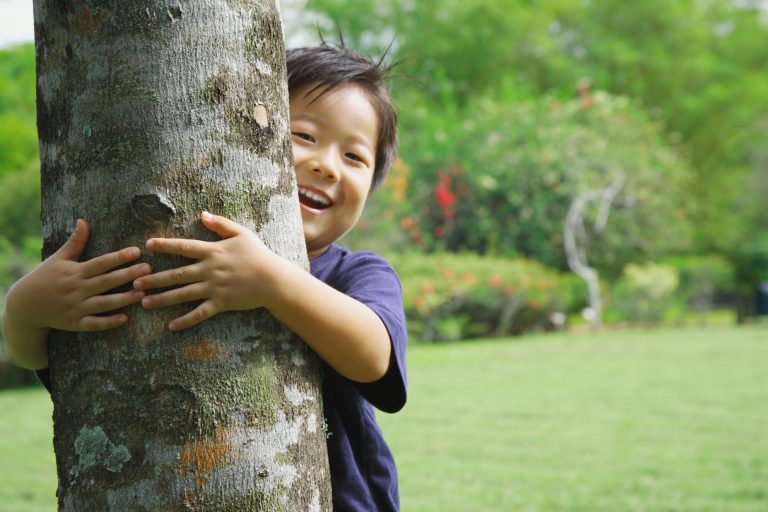 Tree Hugger