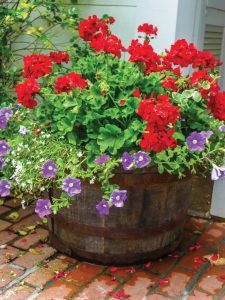 Flower pot
