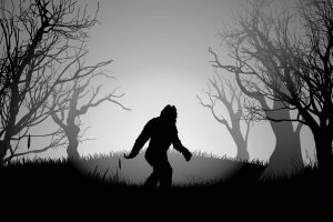 Bigfoot Sighting