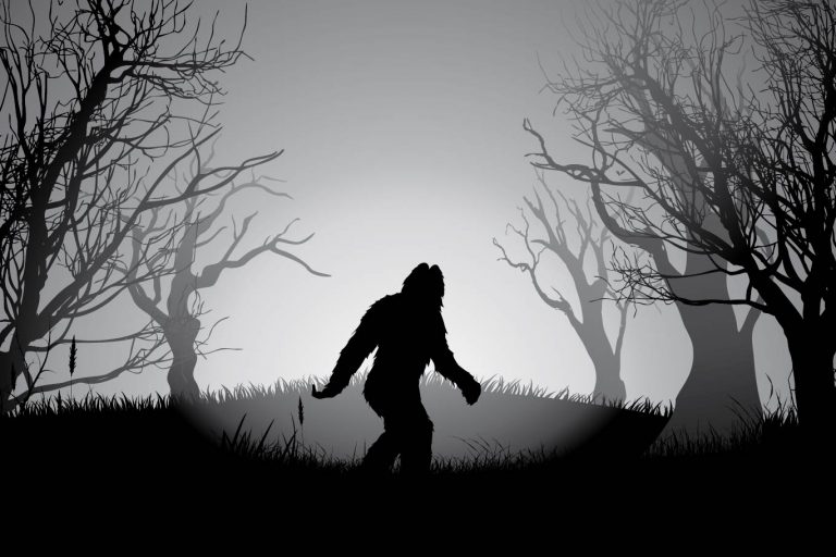 Bigfoot Sighting