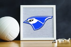 Bluejays Volleyball