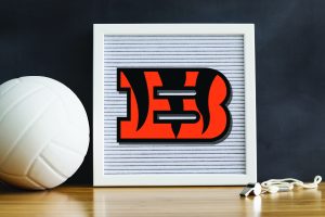 Tigers Volleyball