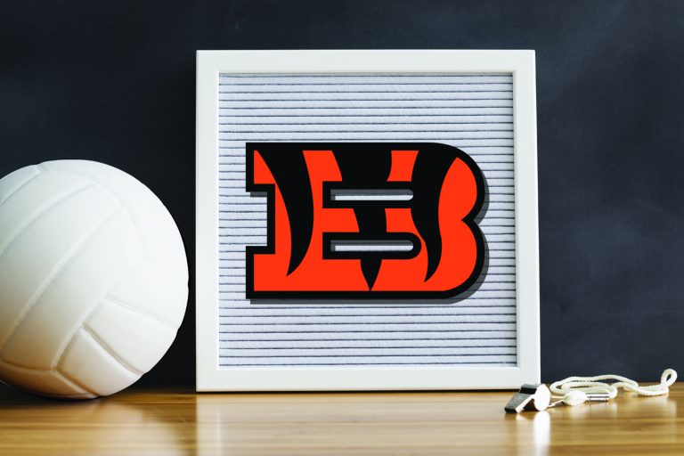 Tigers Volleyball