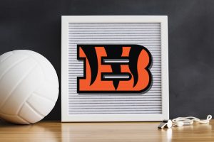 Tigers Volleyball