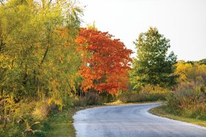 Fall colors make for the drive around Jim Edgar Panther Creek beautiful. Photo by Kaitlyn Copley