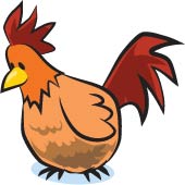 Chicken