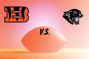 Tigers vs Panthers