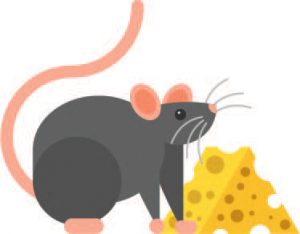 mouse