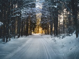 Winter