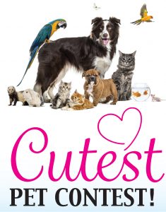 Cutest Pet Contest
