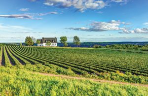 Farm Land
