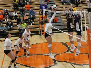 While a host of Tigers look on, Bella Palmer tips the ball over the outstretched hands of a couple of Rockets.