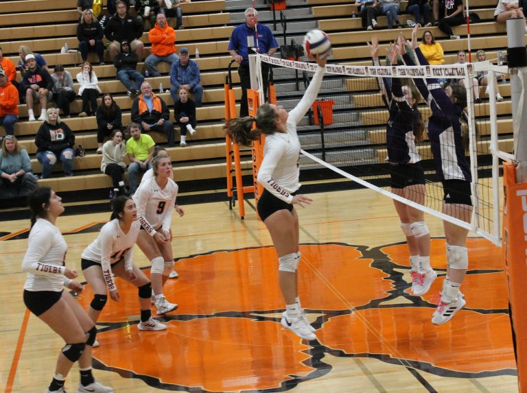 While a host of Tigers look on, Bella Palmer tips the ball over the outstretched hands of a couple of Rockets.