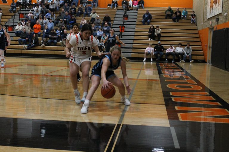 Beardstown’s Brandy Mendoza and Triopia’s Lucie Dion chase after a loose ball in the corner.