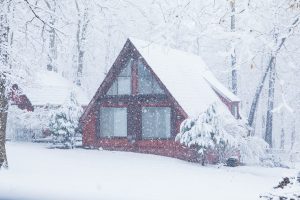 Winter House