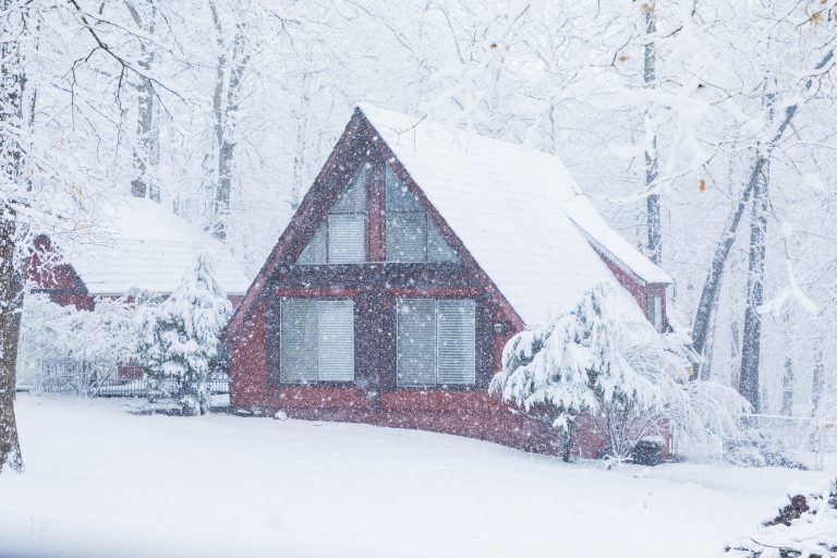 Winter House
