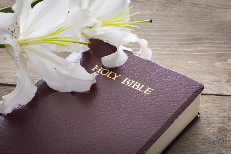 Bible and lily