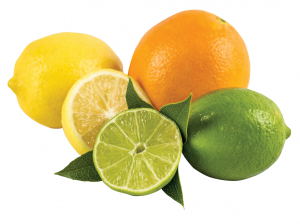 citrus fruits: Lemons, Oranges and Limes.