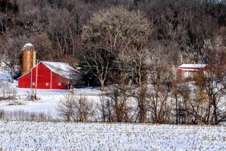 Barn outside Bluff Springs.