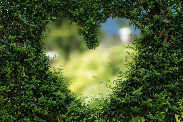 Heart Garden