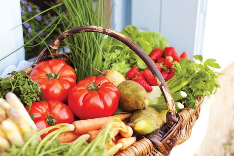 Basket of Veggies