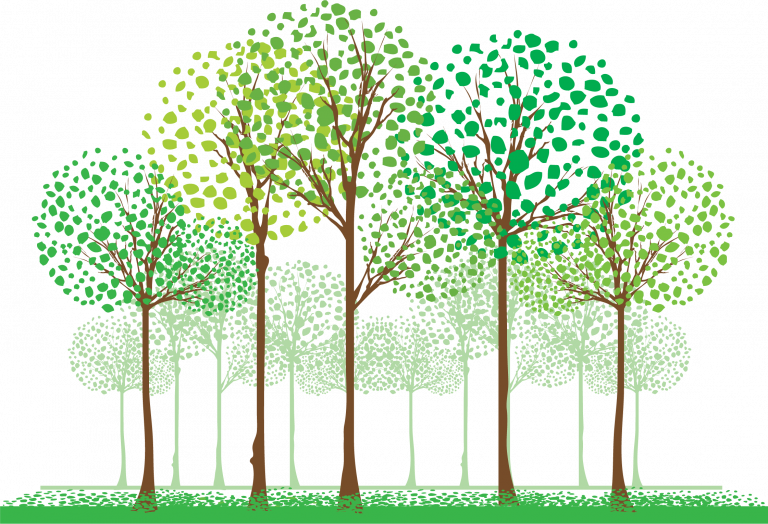 tree graphic
