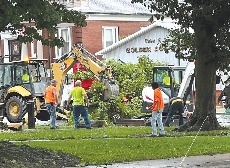 Beardstown city workers are cutting and clearing a tree that a storm had taken down early Wednesday morning in Art Zeeck Park. Public Works Director Gary Hamilton said a storm that went through at 6:50 a.m. had 60 mph winds that toppled the large tree. Photo by Sally Lael