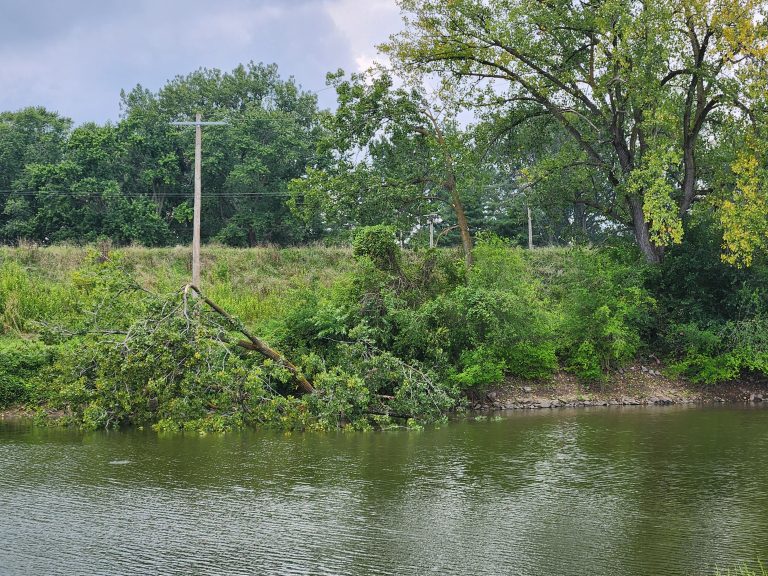 The levee drive was blocked off for a while late Sunday afternoon when a tree fell down on a power line at 3:44 p.m. that caused fire and smoke. After everything was cleared, the levee was reopened.