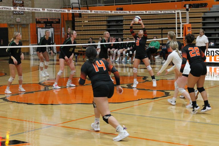 Jazmin Pacheco makes the set as the Tiger spikers move into position.