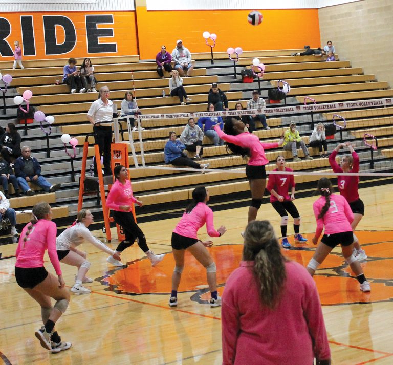 Laetitia Kanda soars high before making the kill for Beardstown.