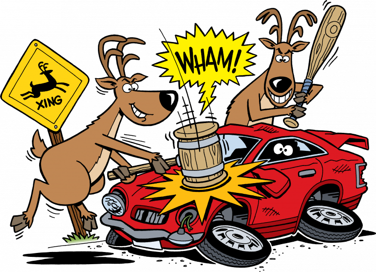 deer hitting car