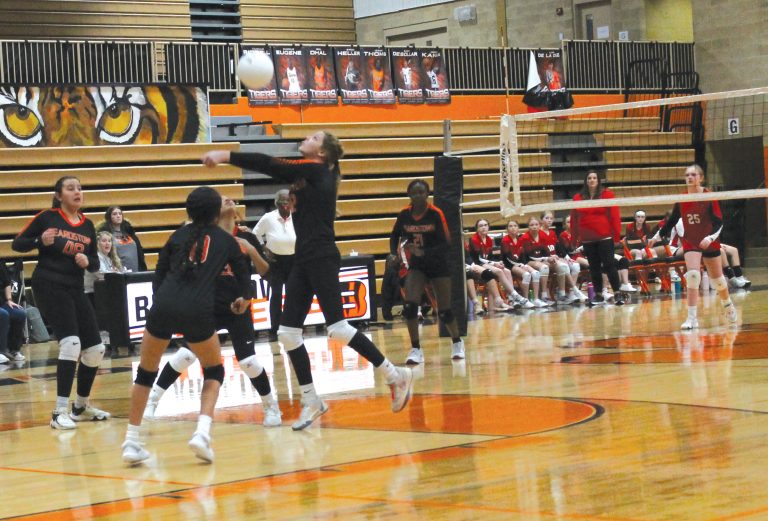 A host of Tigers have the ball in their sights.